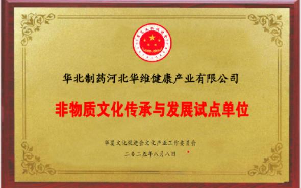 華維公司：成功申報(bào)非物質(zhì)文化傳承與發(fā)展試點(diǎn)單位