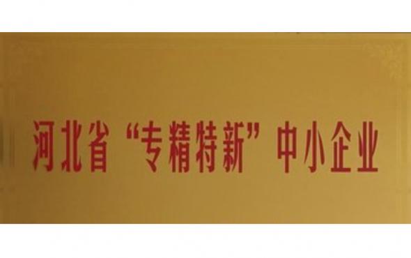華維公司：獲評(píng)“河北省專精特新中小企業(yè)”